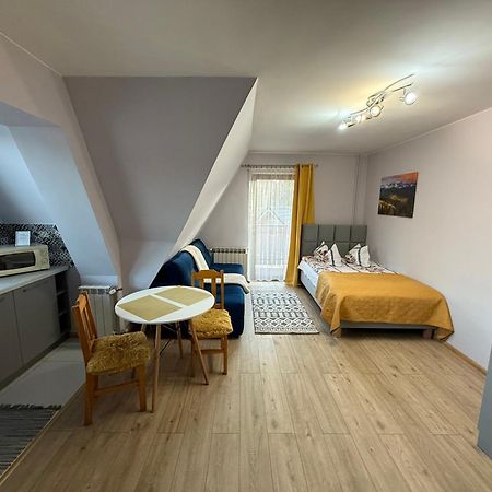 זקופאנה Apartamenty Nad Potokiem Aneta Burliga מראה חיצוני תמונה